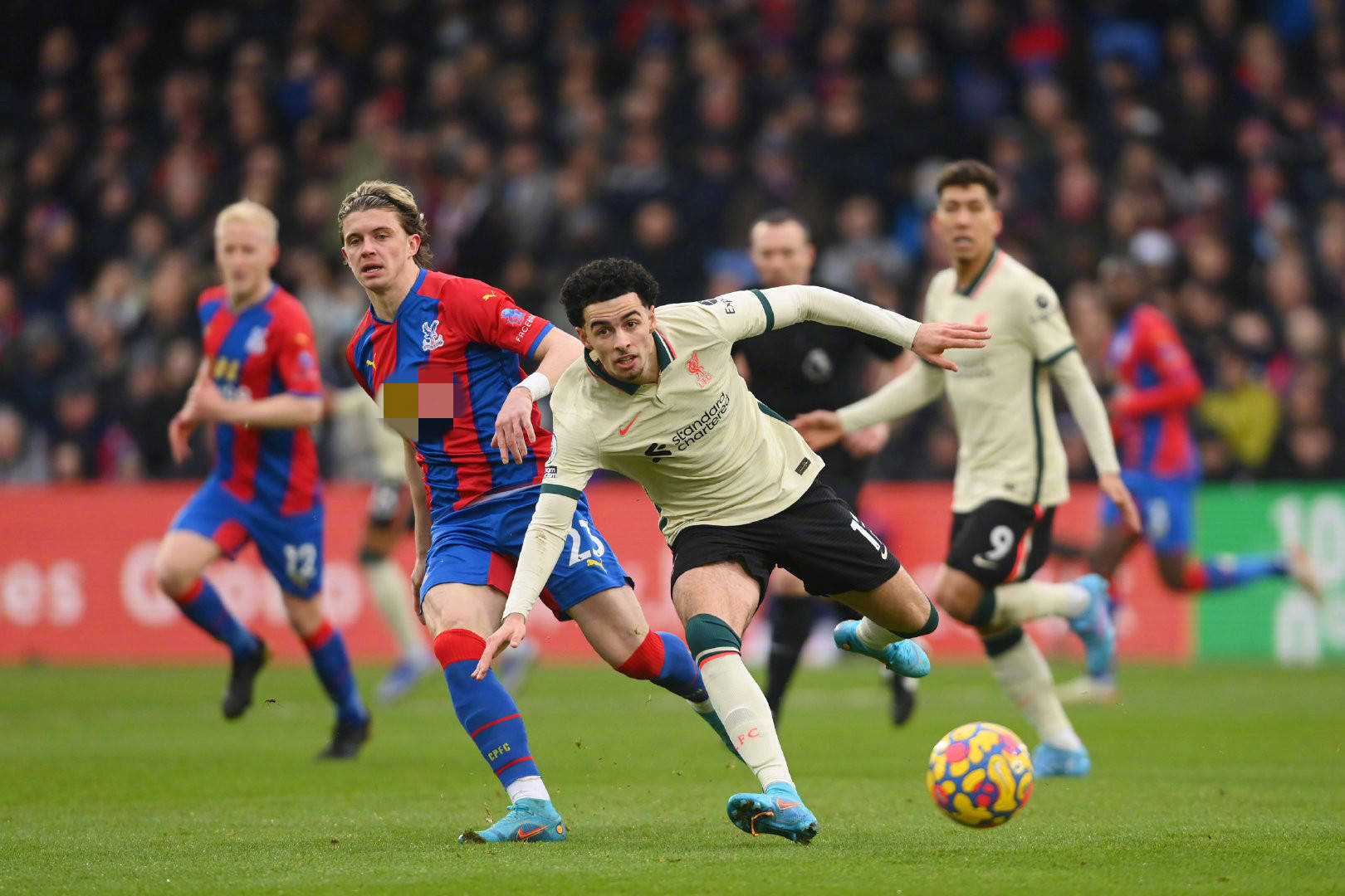 王大雷的道 王大雷的道