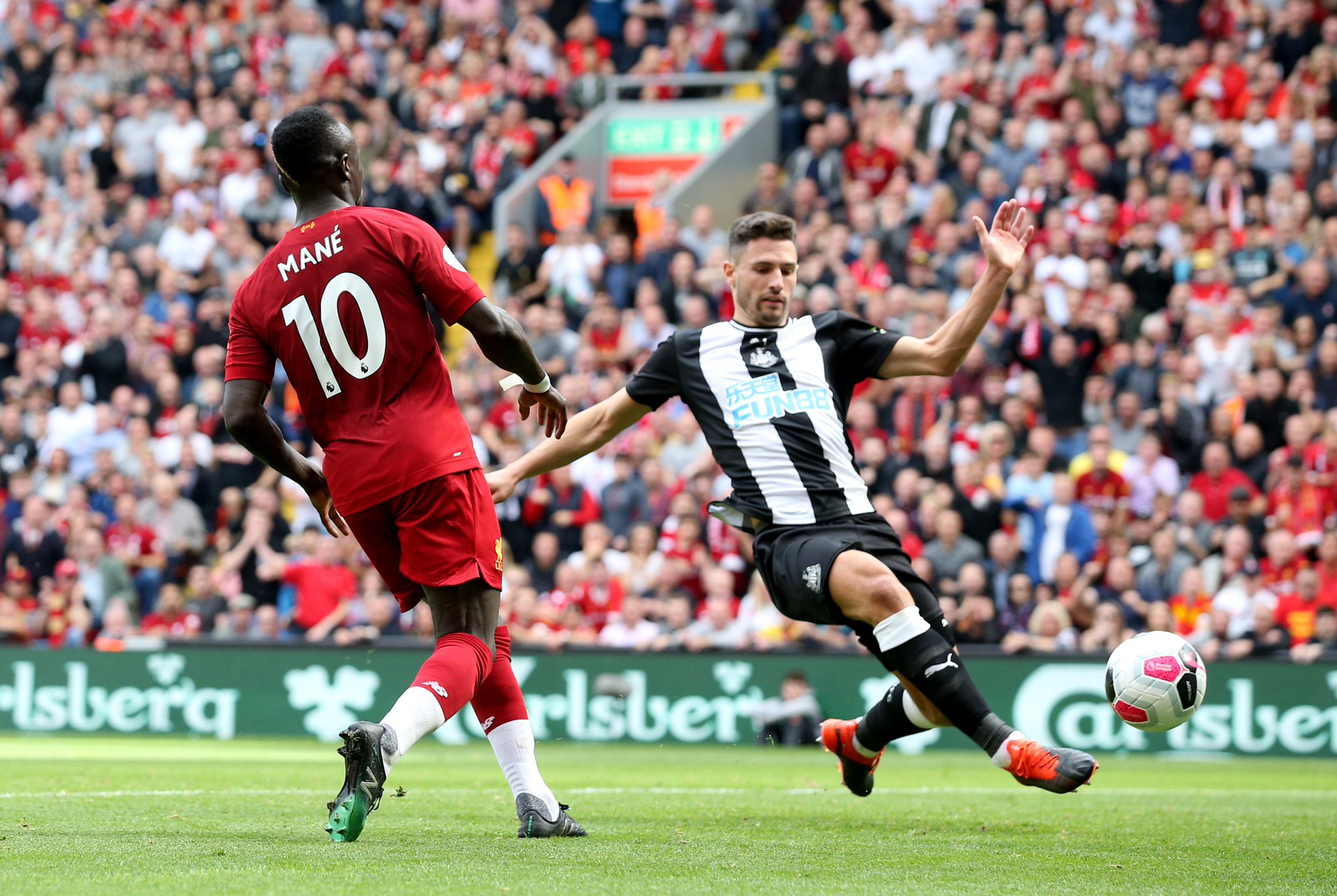 泰卡梅的挑 泰卡梅的挑